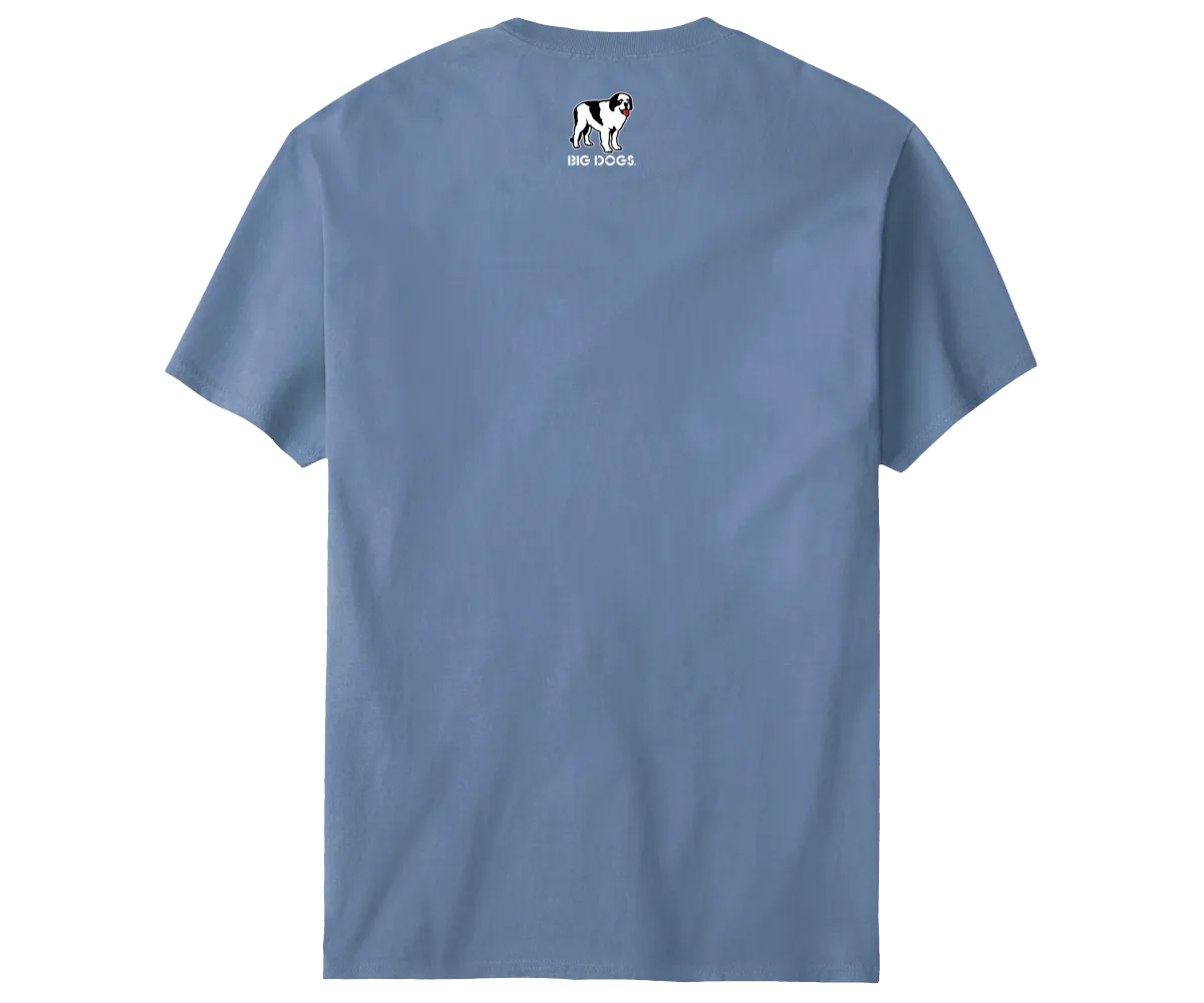 Bd University Red Gray T-shirt
